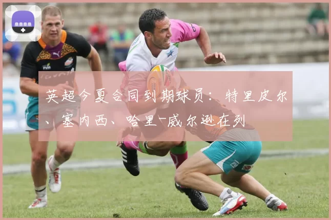 英超今夏合同到期球员：特里皮尔、塞内西、哈里-威尔逊在列