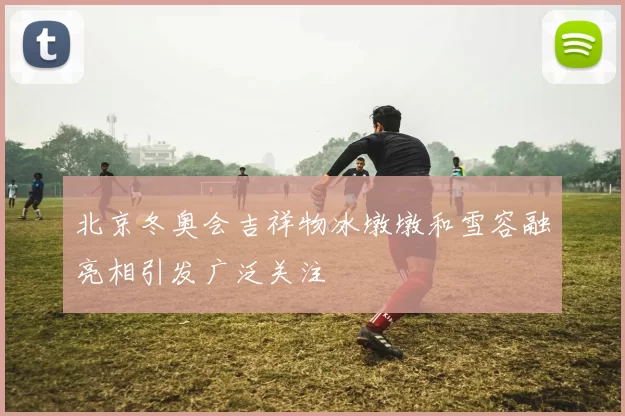 北京冬奥会吉祥物冰墩墩和雪容融亮相引发广泛关注