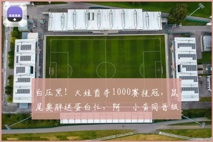 白压黑！火娃首夺1000赛桂冠，鼠尾奥胖送蛋白忙，阿昺小黄同晋级